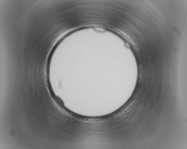 X0000115410942200912151538