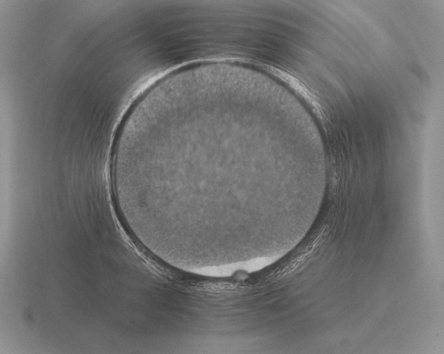 X0000115410943200912151538