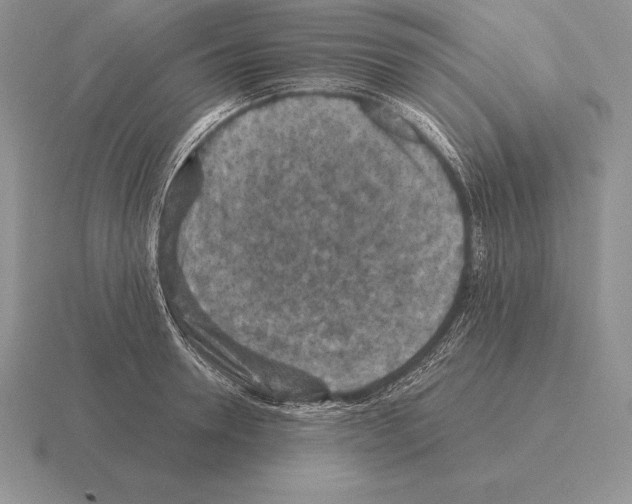 X0000115410946200912151538