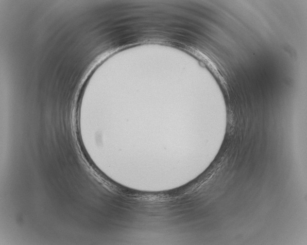 X0000115410947200912151538