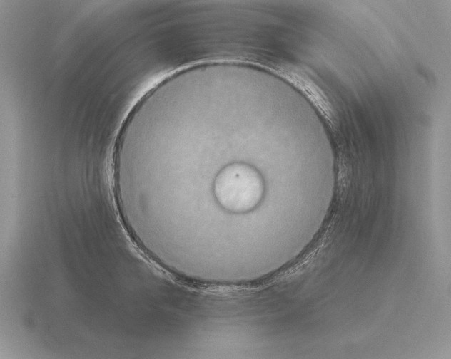 X0000115410950200912151538