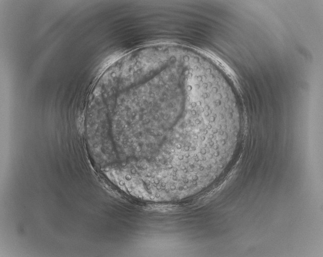 X0000115410953200912151538