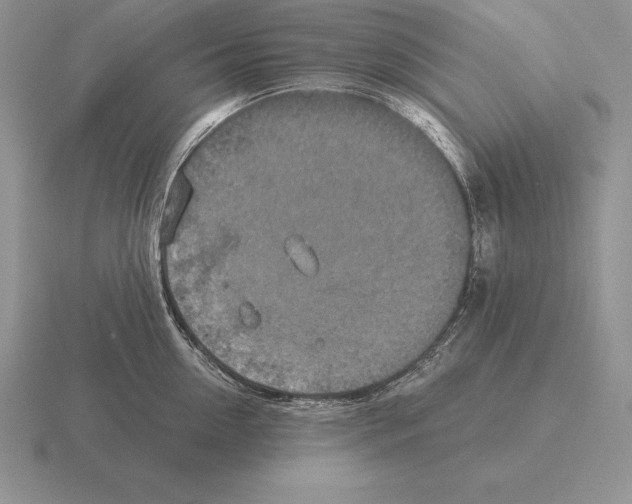 X0000115410954200912151538