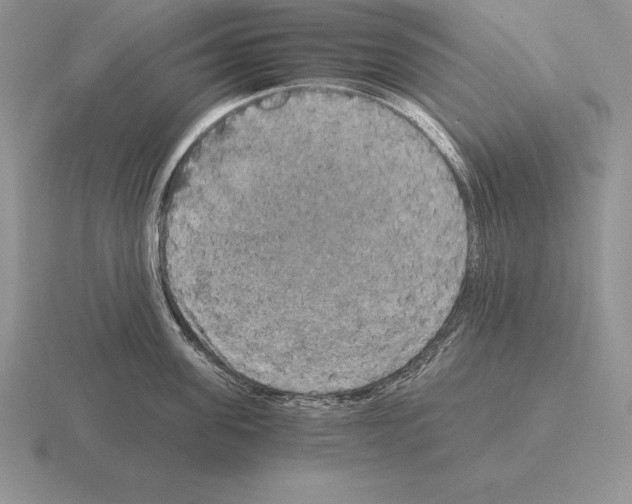 X0000115410955200912151538