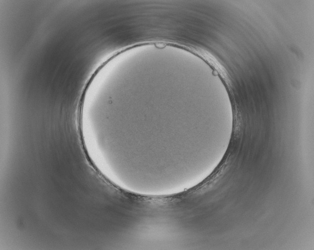 X0000115410958200912151538