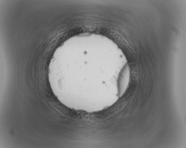 X0000115410961200912151538