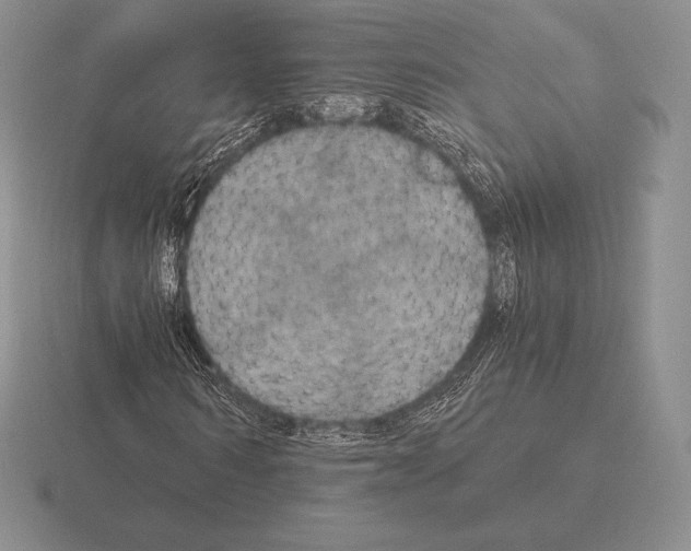 X0000115410962200912151538