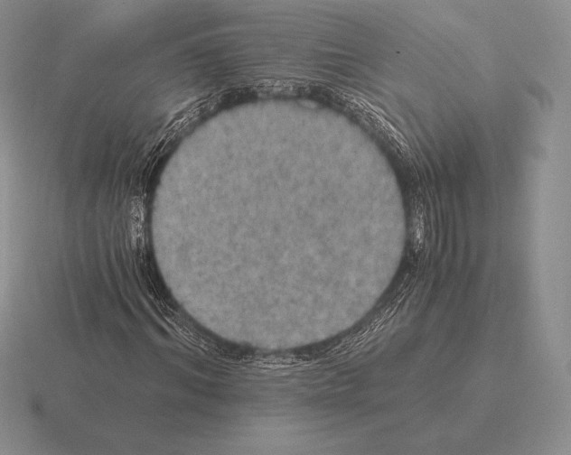 X0000115410964200912151538