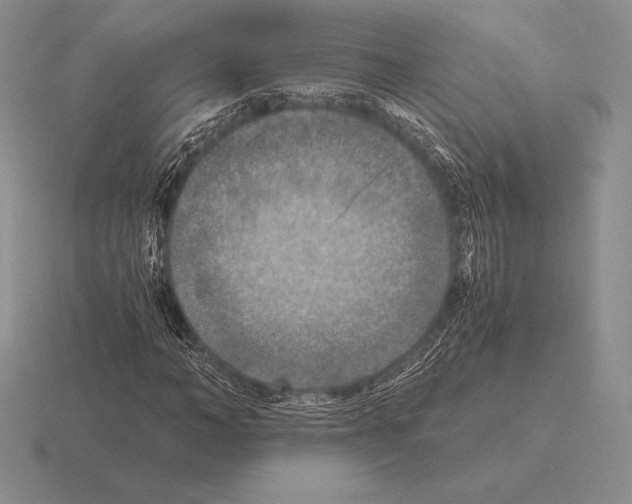 X0000115410966200912151538