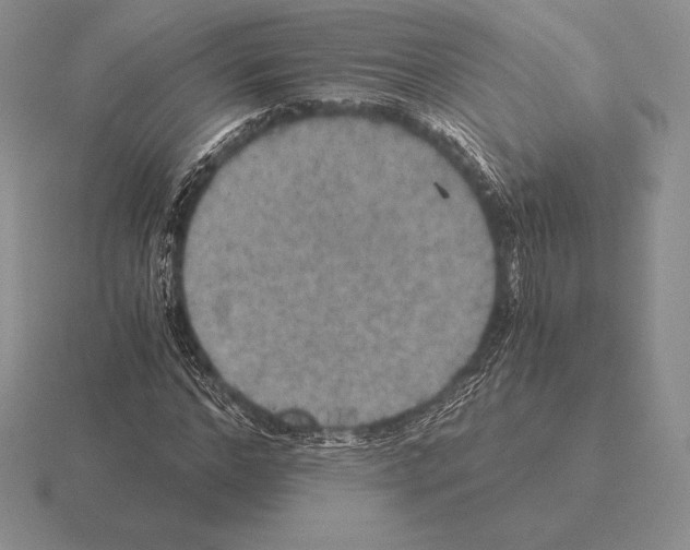 X0000115410968200912151538