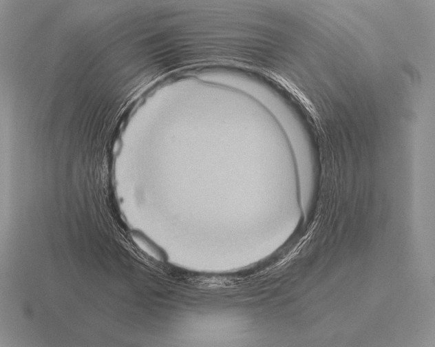 X0000115410969200912151538