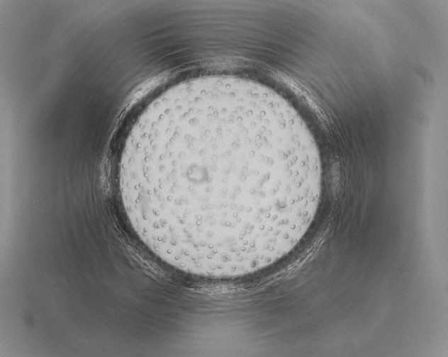 X0000115410970200912151538