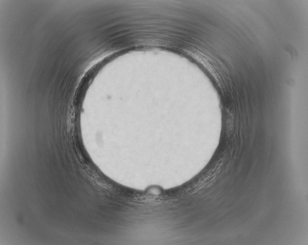 X0000115410971200912151538