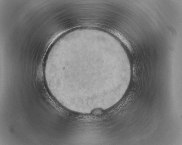 X0000115410972200912151538