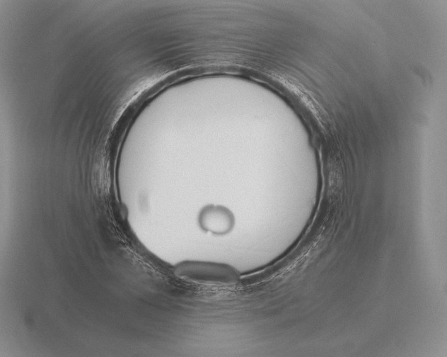 X0000115410973200912151538