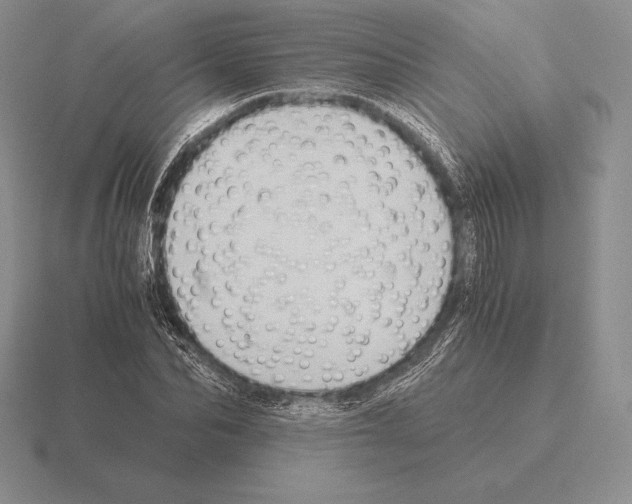 X0000115410974200912151538