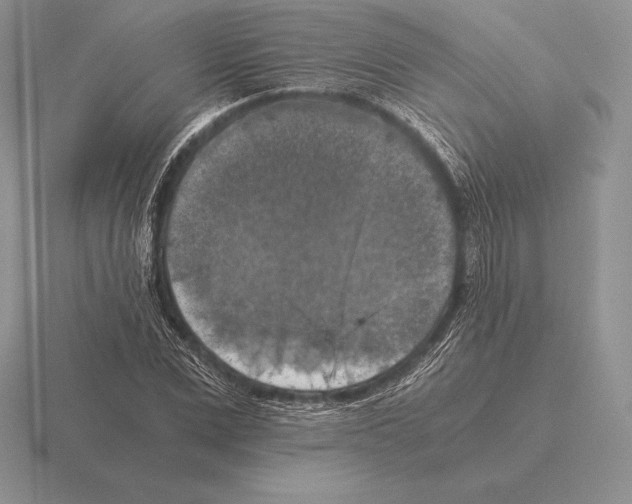 X0000115410975200912151538