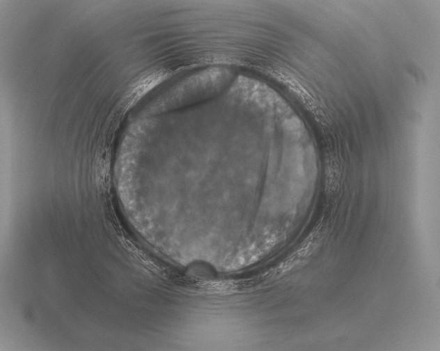 X0000115410977200912151538