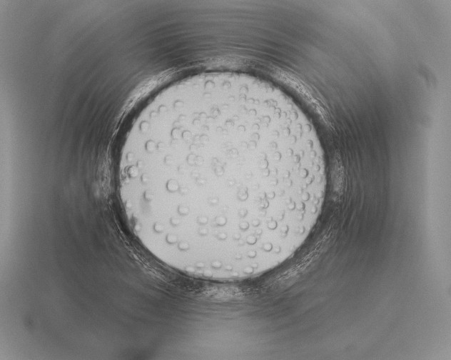 X0000115410978200912151538