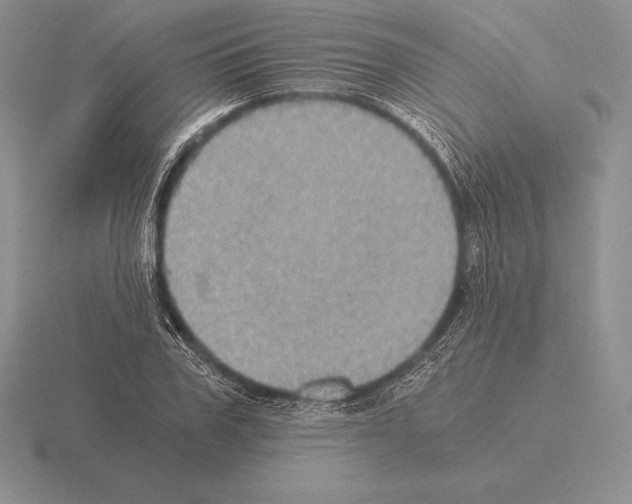 X0000115410979200912151538