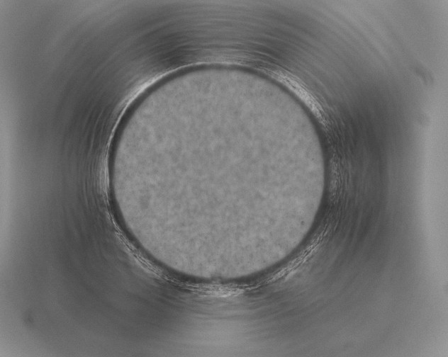 X0000115410980200912151538