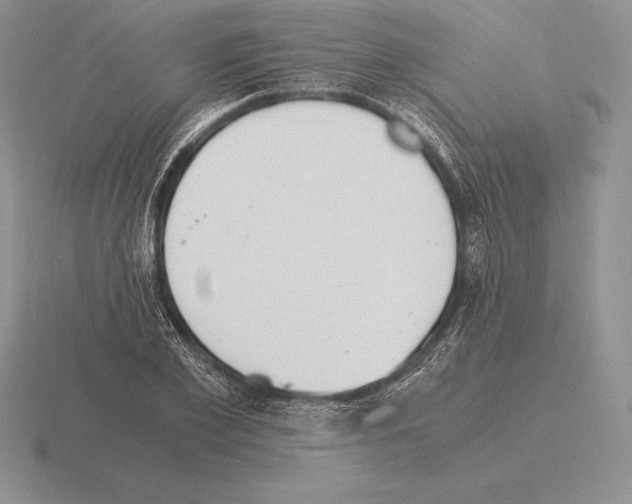 X0000115410981200912151538