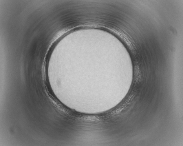 X0000115410982200912151538