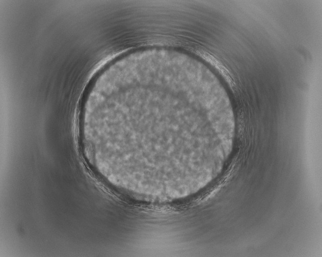 X0000115410983200912151538