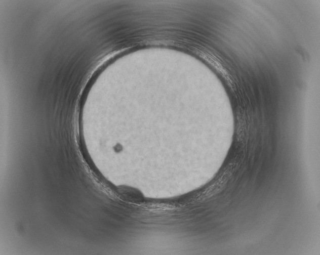 X0000115410984200912151538