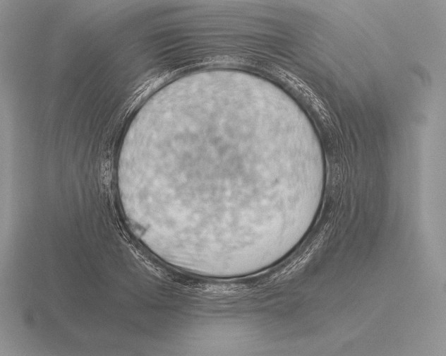 X0000115410985200912151538