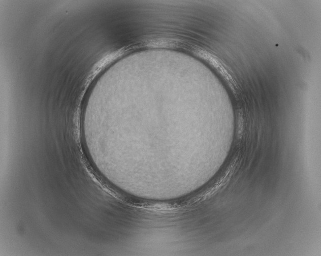 X0000115410986200912151538