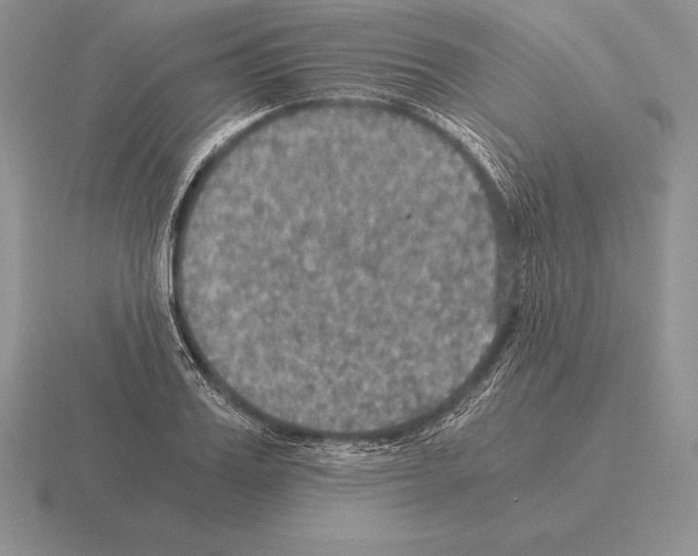 X0000115410987200912151538