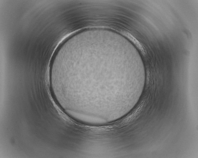 X0000115410988200912151538