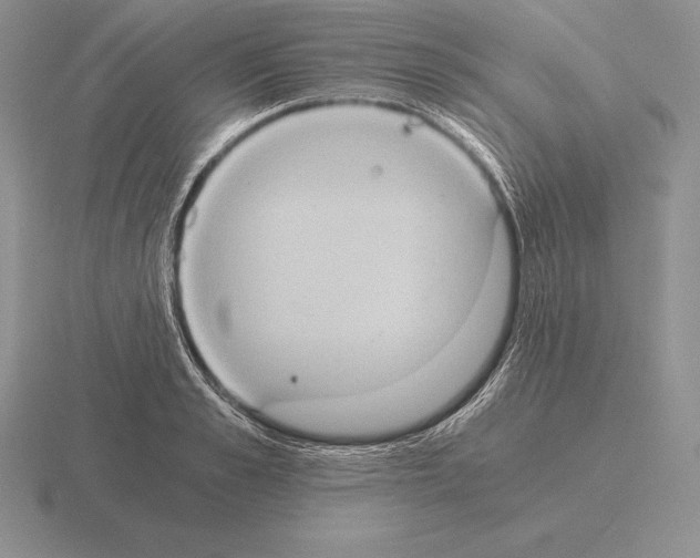 X0000115410989200912151538