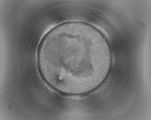 X0000115410990200912151537