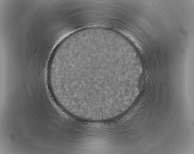 X0000115410991200912151537