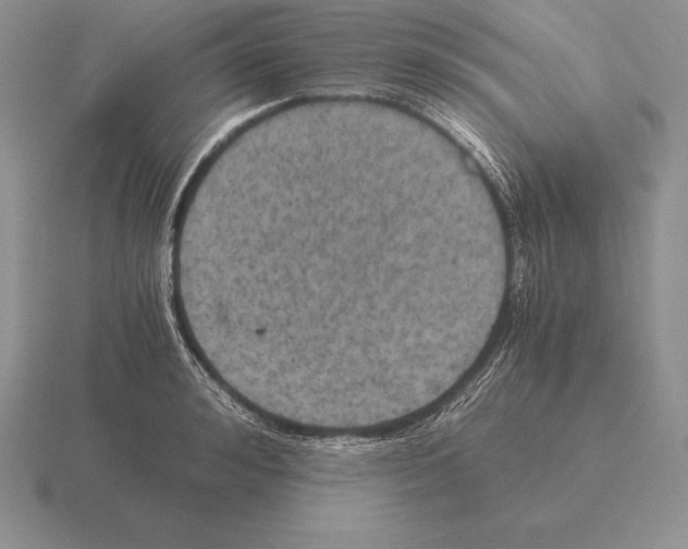 X0000115410992200912151537