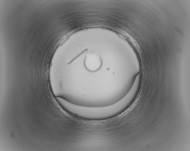 X0000115410993200912151537