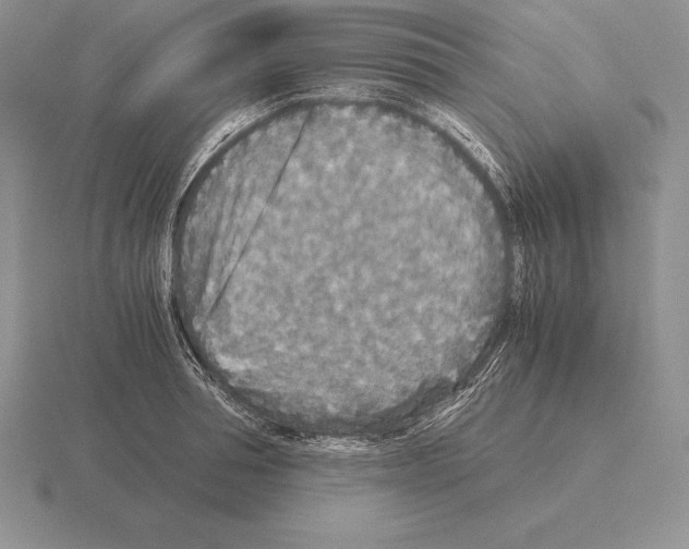 X0000115410994200912151537