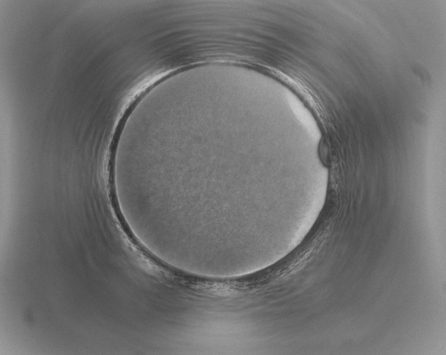 X0000115410995200912151537