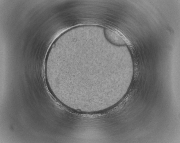 X0000115410996200912151537