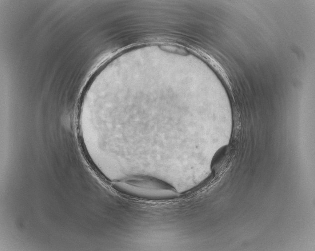 X0000115410997200912151537