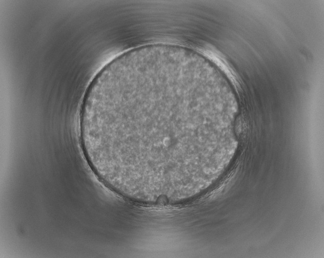 X0000115410999200912151537