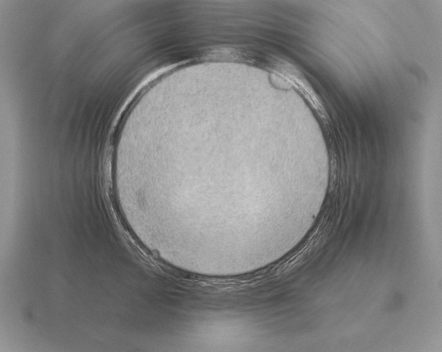 X0000115411000200912151537