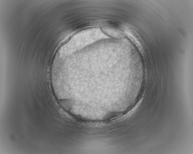 X0000115411001200912151537