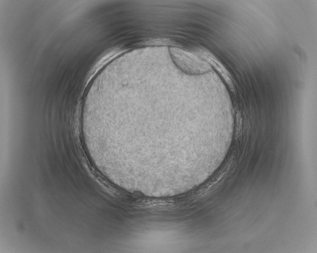 X0000115411002200912151537