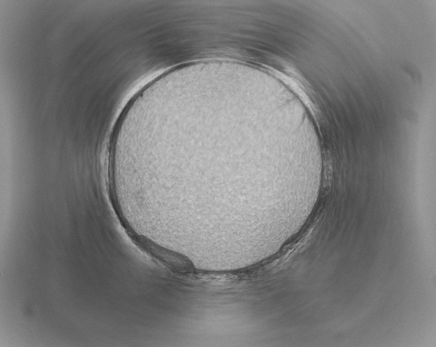 X0000115411003200912151537