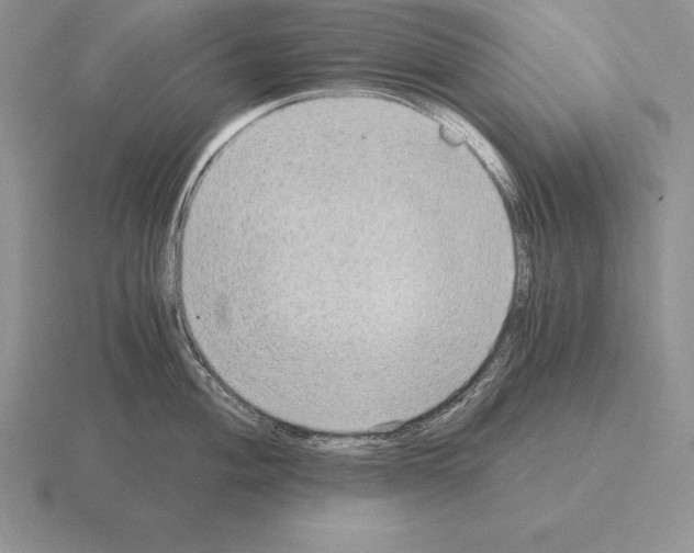 X0000115411004200912151537