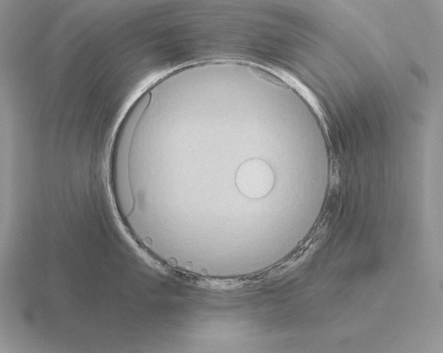 X0000115411005200912151537