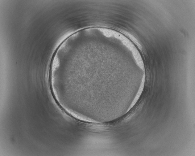 X0000115411007200912151537